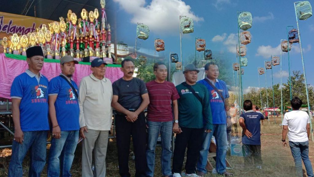 Lomba Ayam Bekisar, Rebut Kemari Cup Sampang 2023