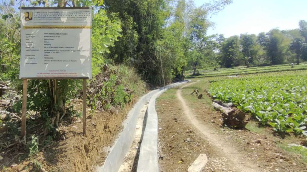 Jaga Kualitas, P3-TGAI di Kebun Sareh Prioritaskan Sektor Pertanian