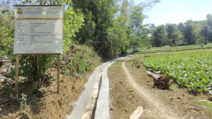 Jaga Kualitas, P3-TGAI di Kebun Sareh Prioritaskan Sektor Pertanian