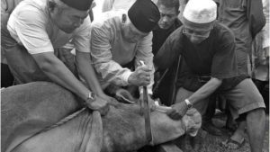 Bolehkah Berqurban Untuk Orang Yang Meninggal