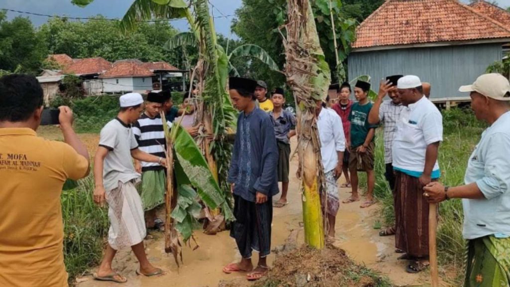 Warga Pengantenan Kecewa, Jalan Desanya Ditanami Pohon Pisang