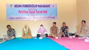 Pemdes Napo Daya Gelar Pelatihan Cocok Tanam Padi