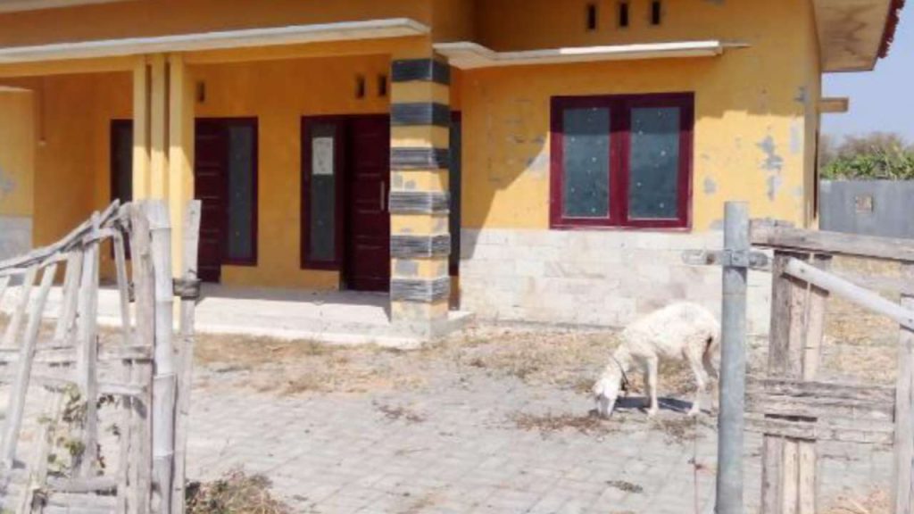 Polindes Panglegur Disorot IWO, Ini Jawaban Kapus Tlanakan