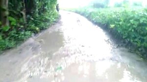 Jalan Desa Paseyan Sampang Dibiarkan Rusak Berlumpur