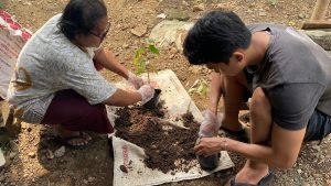 Hijaukan Desa Galengdowo: Bina Desa Kelompok 2 UPN Veteran Jatim Ciptakan Pupuk Organik dari Limbah Jagung
