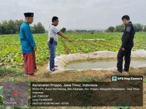 Seorang petani tembakau meninggal di sawah saat kerja