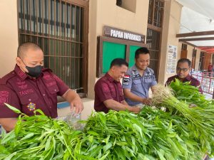 Lapas kelas IIA Pamekasan sukses panen kangkung jumbo
