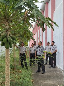 Lapas Narkotika kelas IIA Pamekasan Sambangi kebun olahan warga bina’an