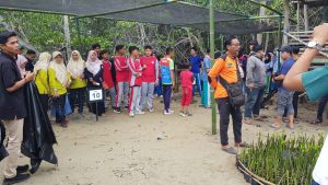 Pembibitan Mangrove, Upaya IGI dan FRPB Pamekasan Kurangi Efek Perubahan Iklim