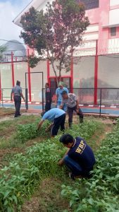 Lapas Narkotika Kelas IIA Pamekasan Dipenuhi Kangkung
