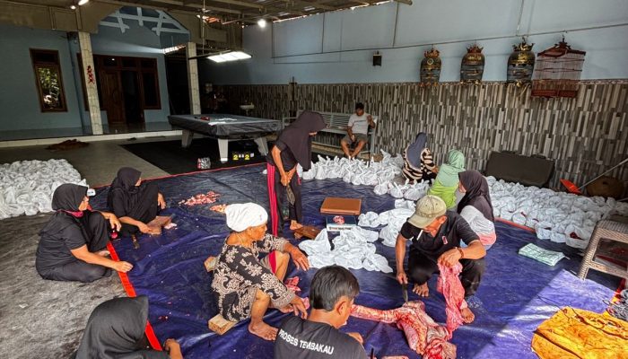 Teladani Nabi Ibrahim as Bos Djava Berkurban 12 Ekor Sapi