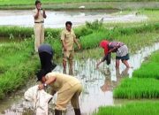 Pertanian Bangkalan: Inovasi Nyata, Tantangan Teknis dan Harapan Sinergi