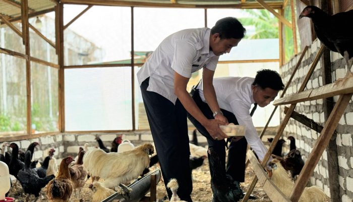 Lapas Narkotika Pamekasan Panen Telur Ayam Kampung