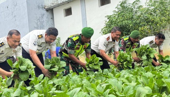Lapas Narkotika Pamekasan Panen Sawi dan Lele