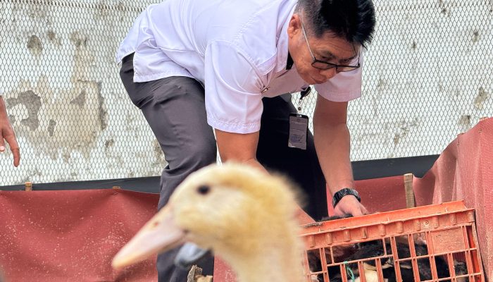 Lapas Narkotika Pamekasan Dukung Ketahanan Pangan dengan Menambah 100 Bibit Bebek Pedaging